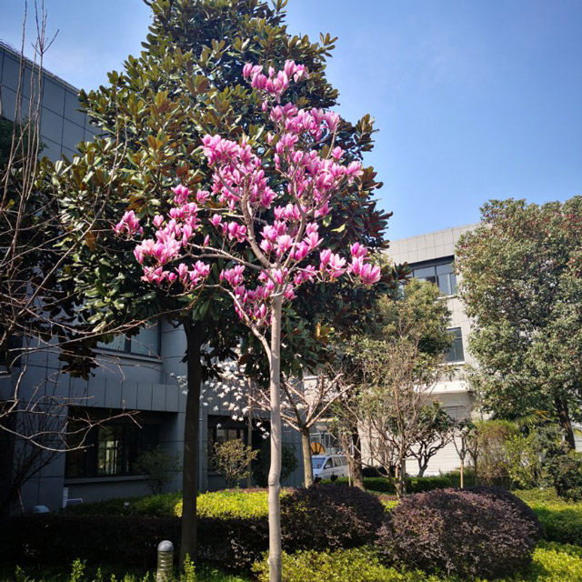 �S(ch��ng)�^(q��)�h(hu��n)��